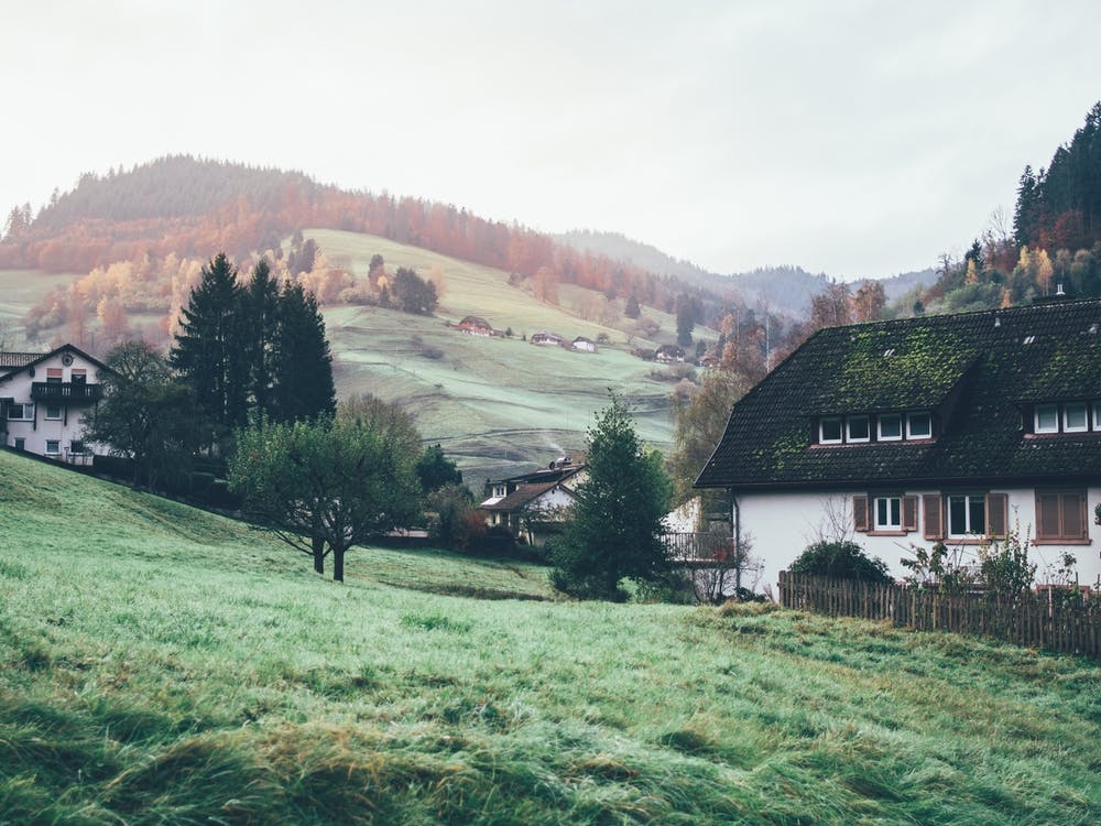 Morning In Schwarzwald