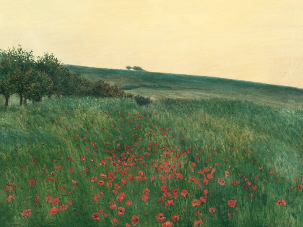 Poppy Field 2