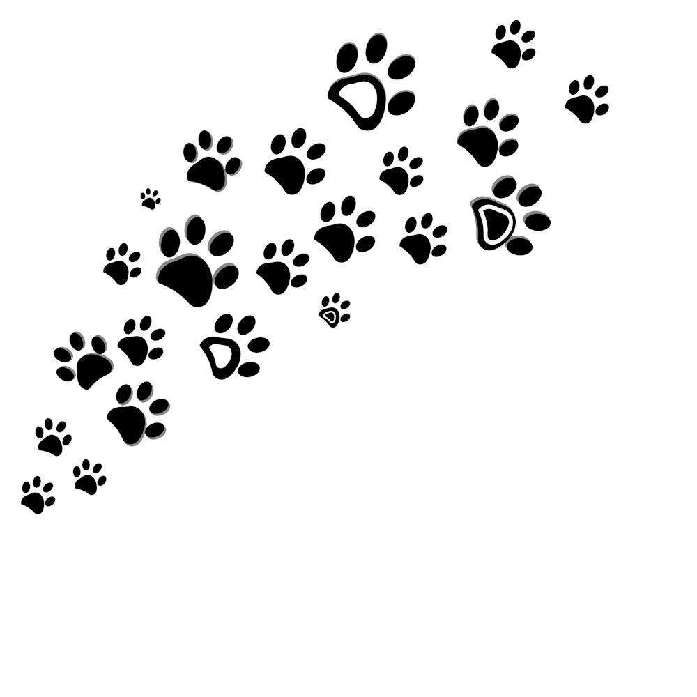 Schwarzer Hund Pfotenabdruck Vektor Illustration Hintergrund