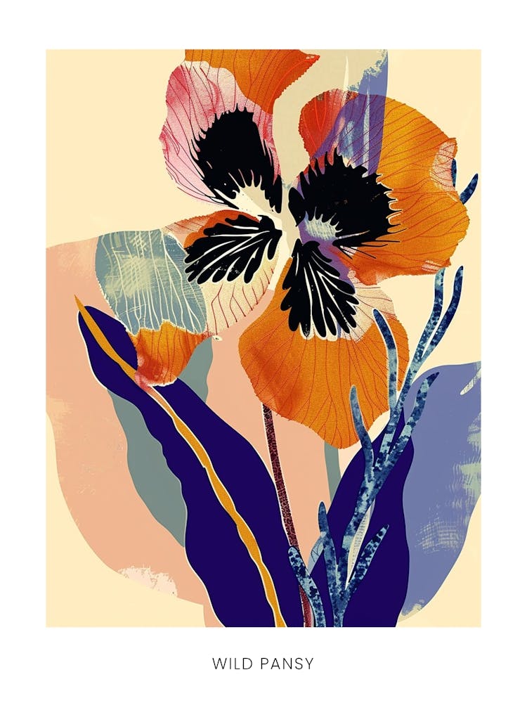 Colourful Flower Illustration Poster Wild Pansy 3