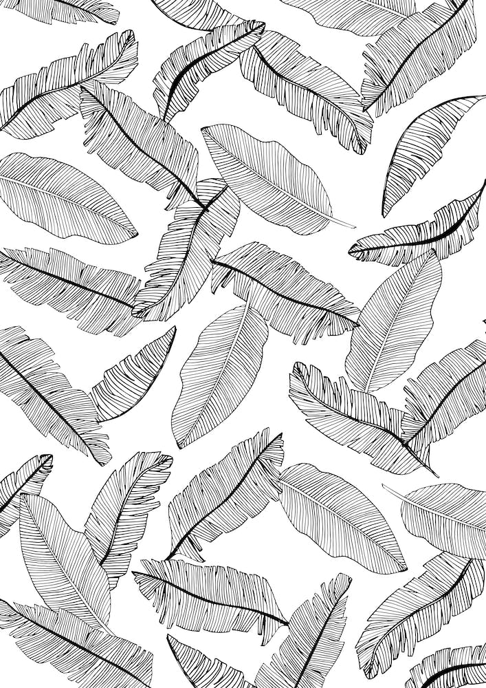 Banana Leaves IV Line