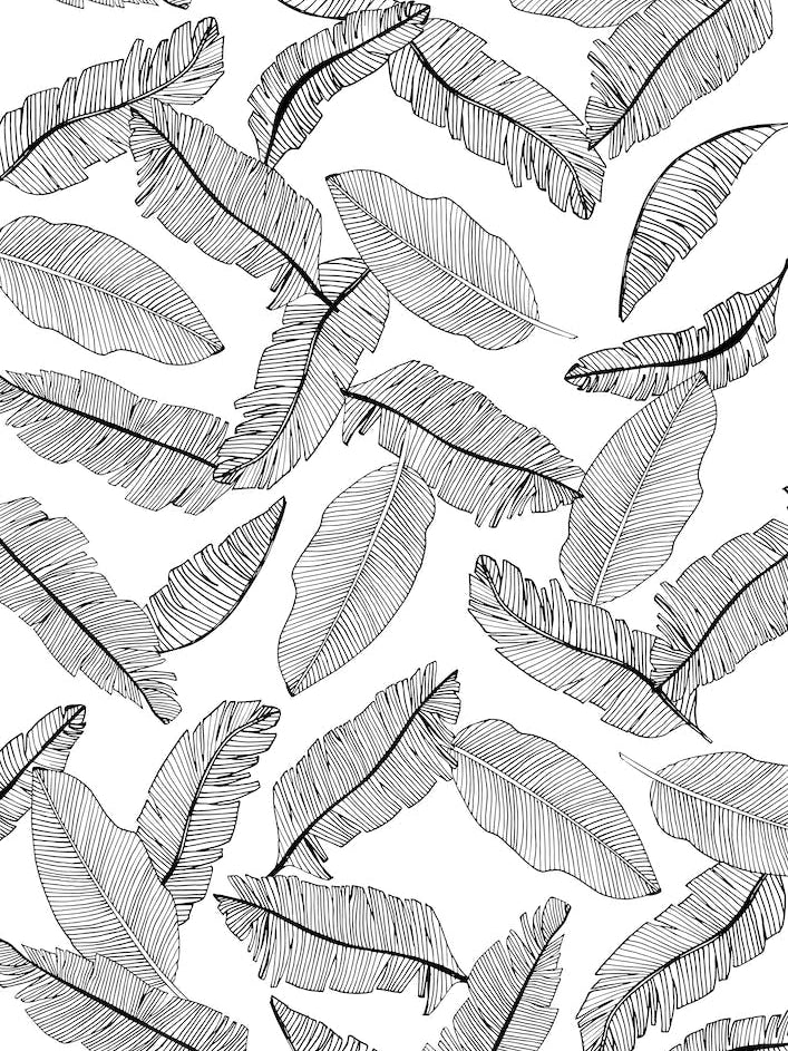 Banana Leaves IV Line