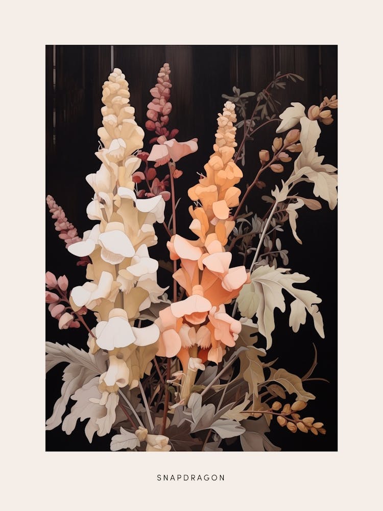 Flower Illustration Snapdragon 2 Poster