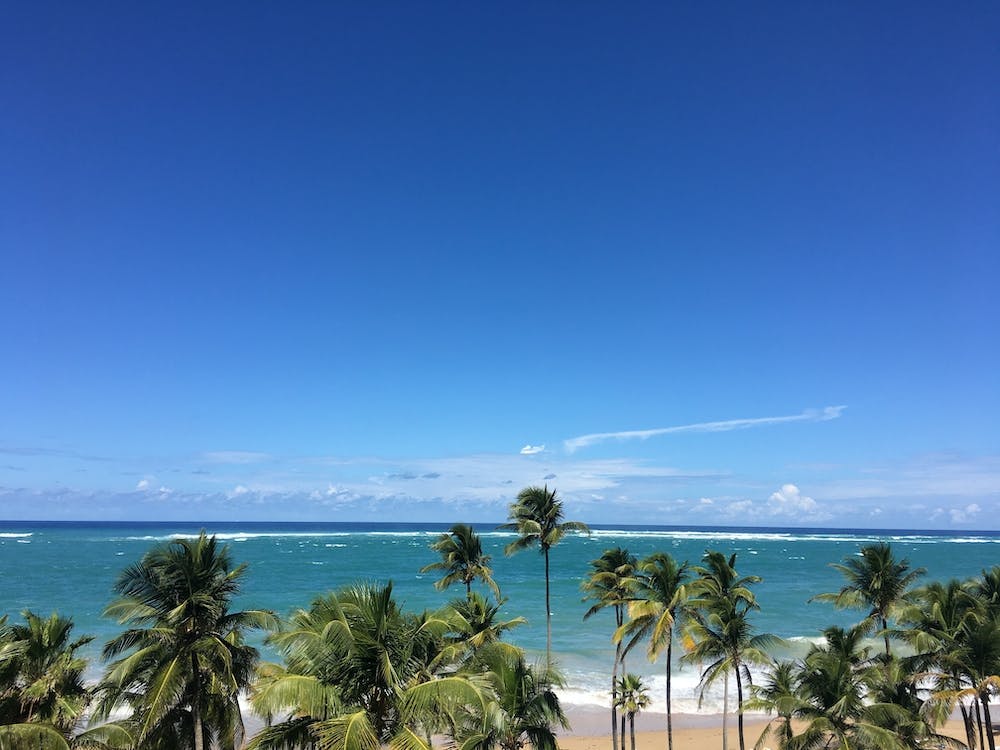 Beach Views in Puerto Rico 2