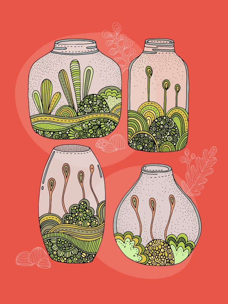 Jar Of Moss