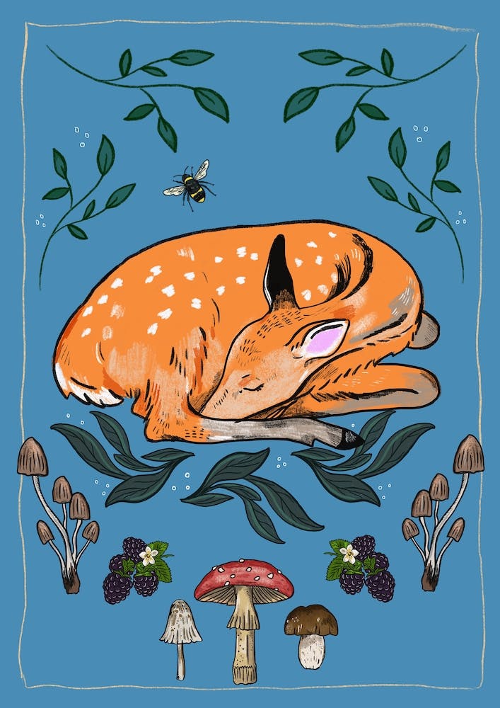 Sleeping Deer