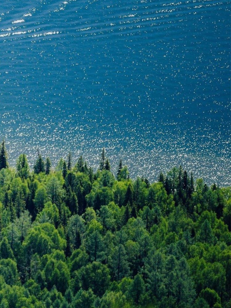 Aerial View Of Lake Michigan