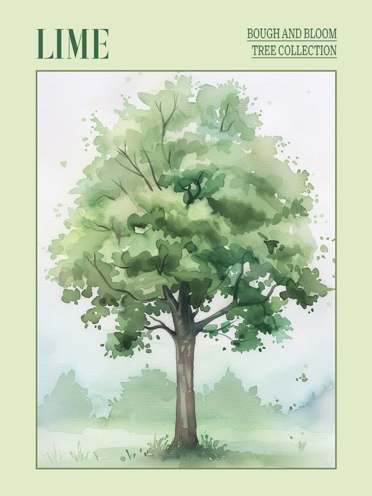 Lime Tree Atmospheric Watercolour Painting 3 Poster