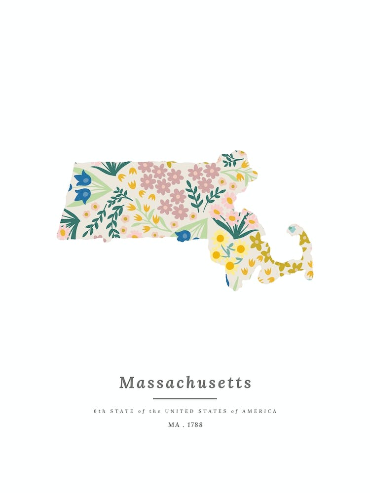Massachusetts | Wildflower Mix