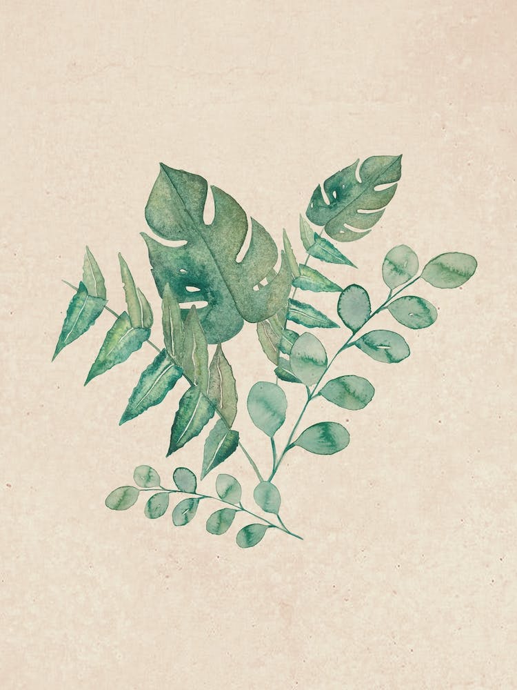 Watercolor Jungle Leaves - Bloomery Decor