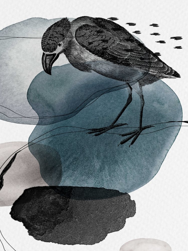 Feathered Friends Bird Black & Navy