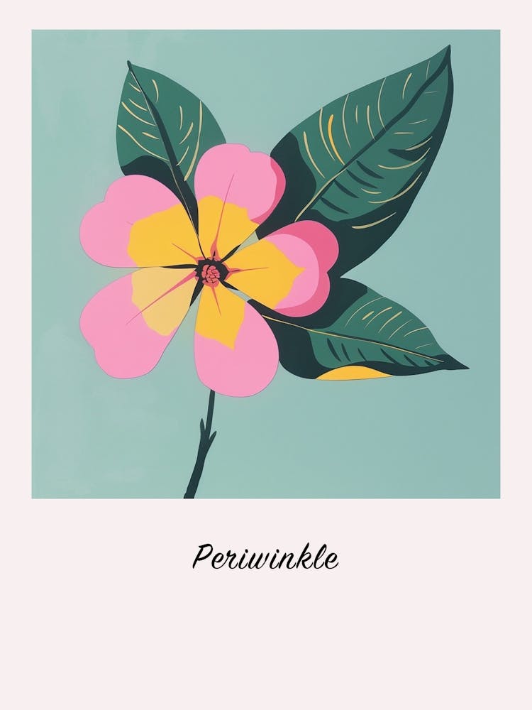 Illustration de fleur Pervenche 1 Carré Affiche