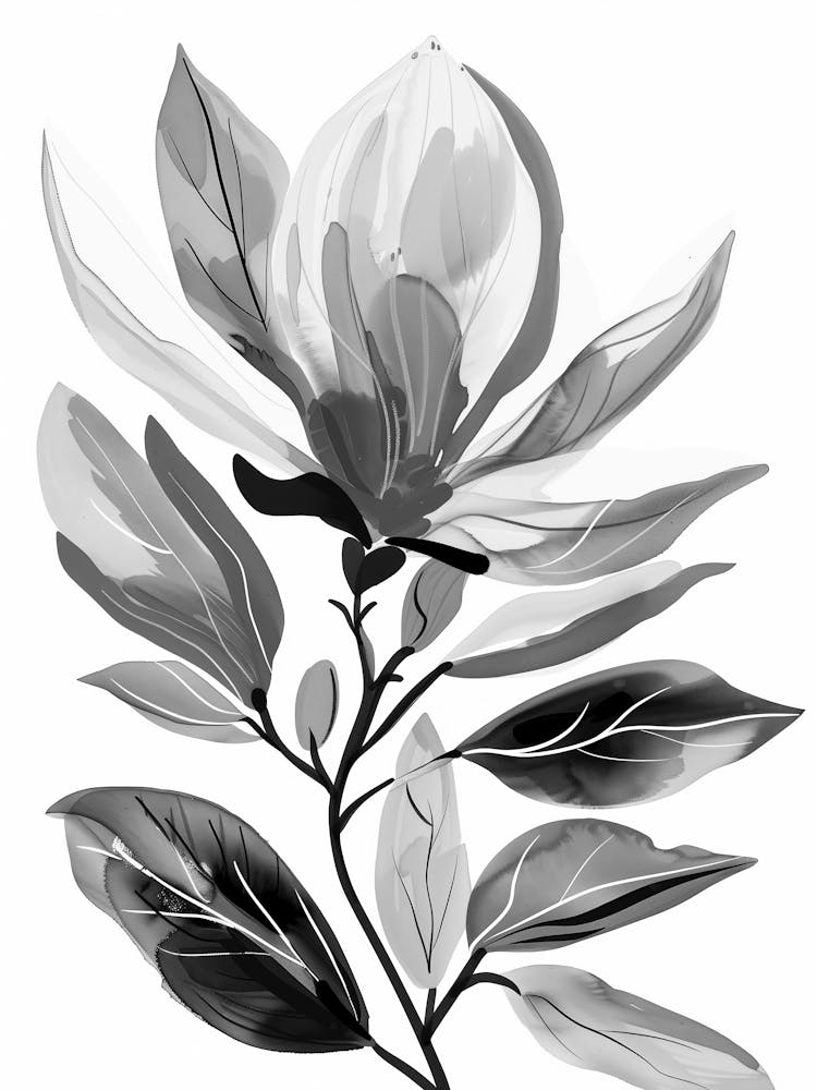 Magnolia 3