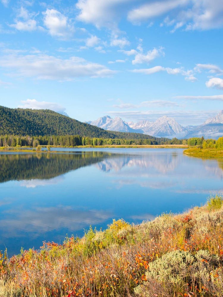 Yosemite National Park