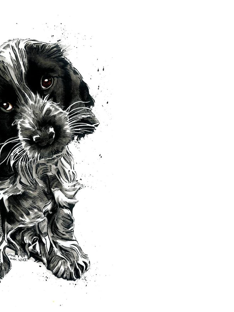 Rosie The Cocker Spaniel