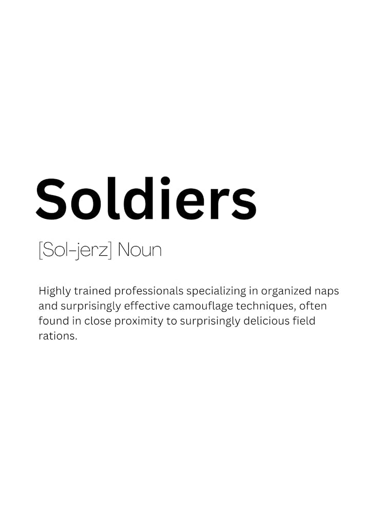 Soldiers Definition Meaning