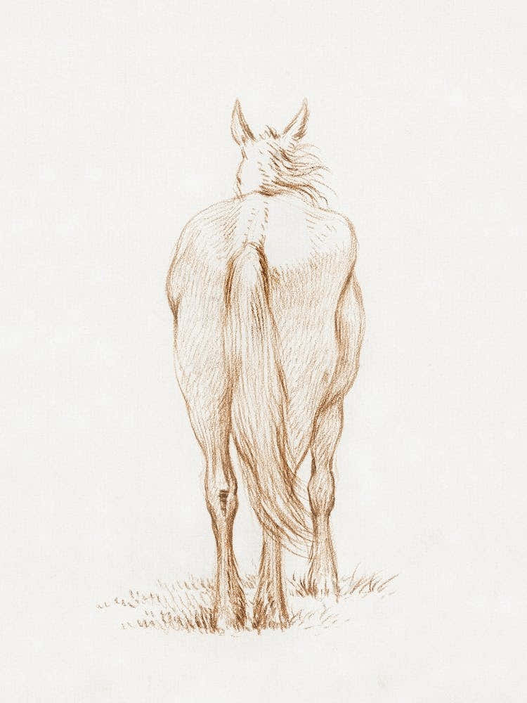 Standing Horse (1815), Jean Bernard