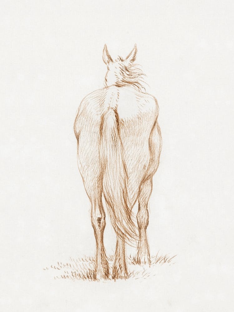 Standing Horse (1815), Jean Bernard