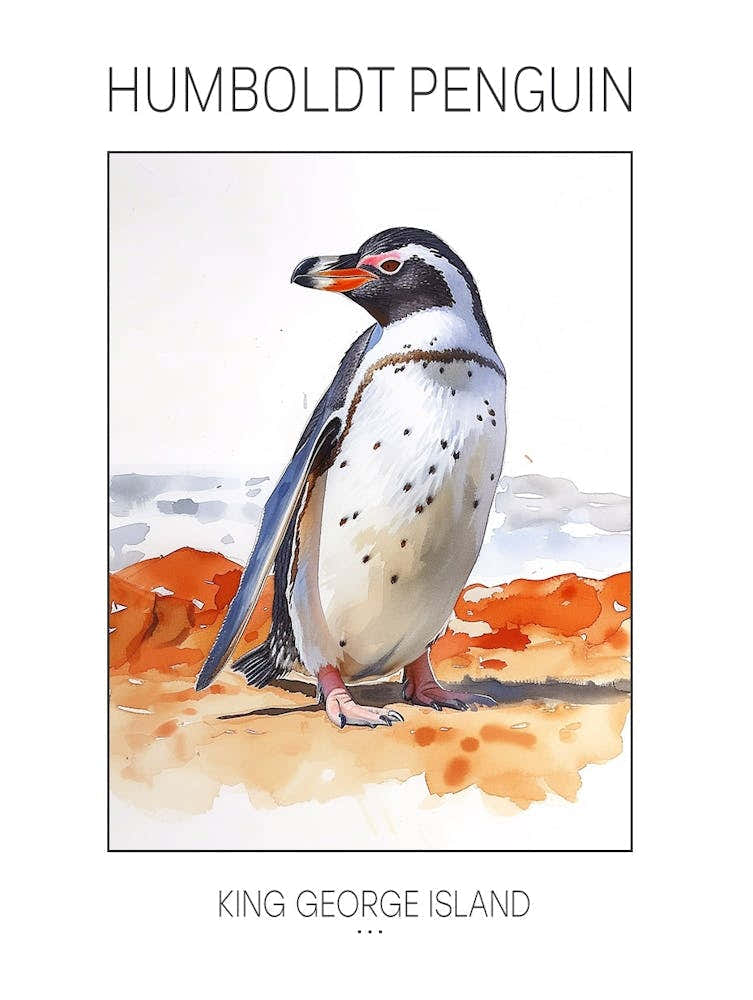 Humboldt Penguin King George Island Watercolour Painting 4 Poster
