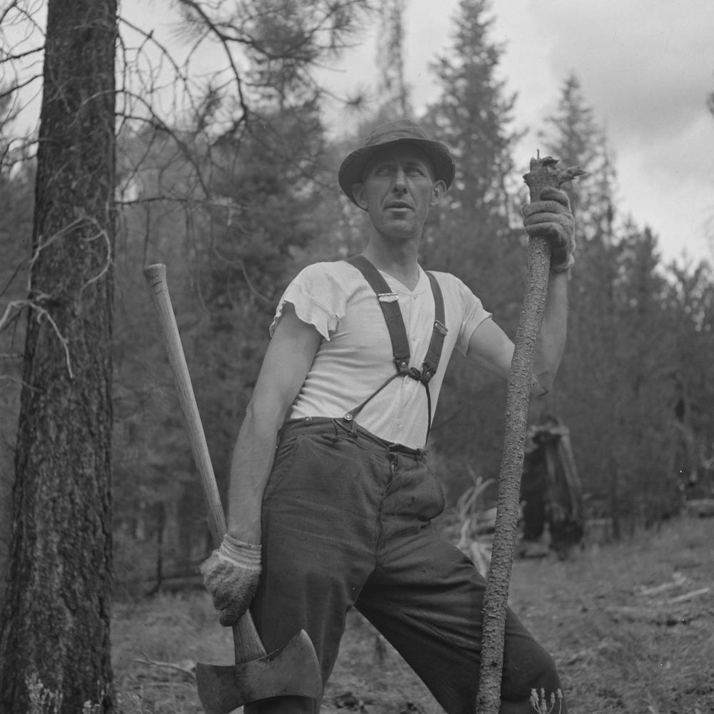 Grant County, Oregon, Malheur National Forest, Lumberjack By Russell Lee 2