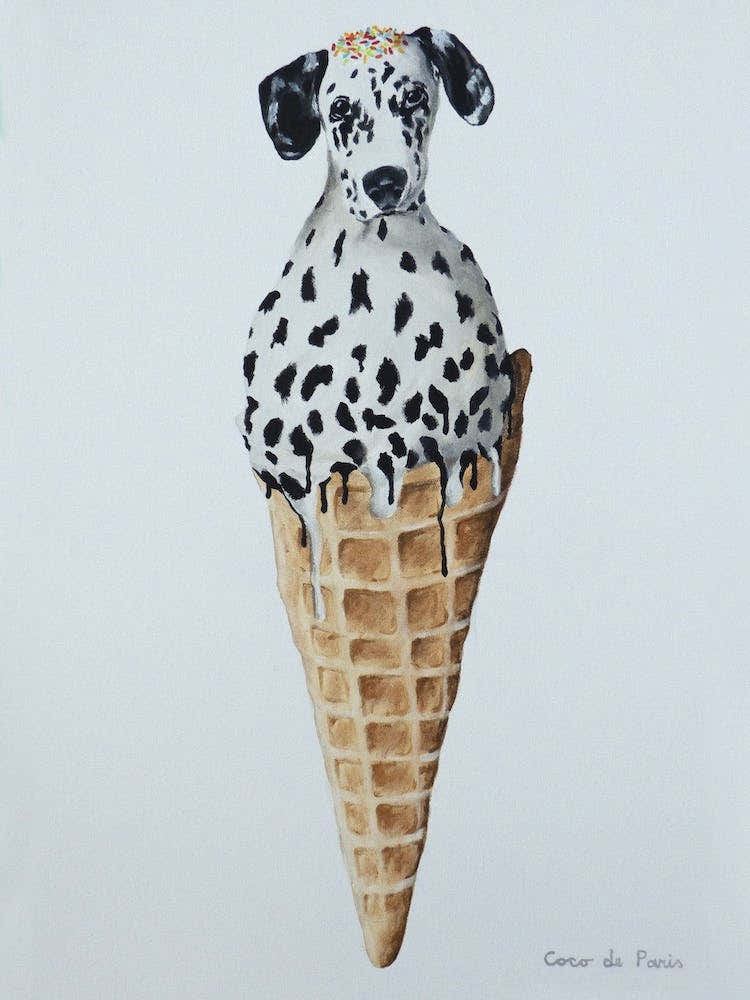 Icecream Dalmatian