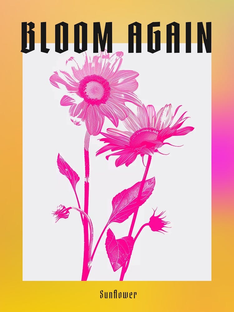 Hot Pink Sunflower 2 Poster