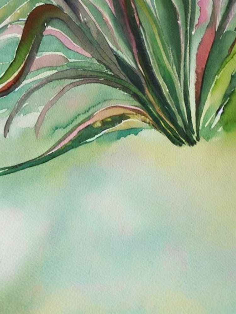 Squid Storybook Watercolour