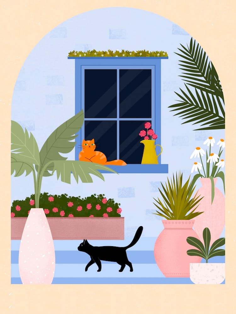 Katzenoase