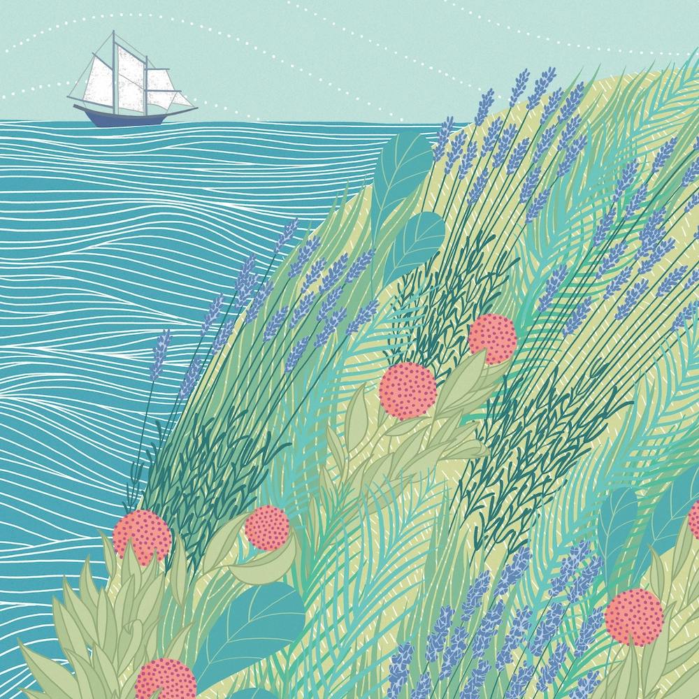 Lavender Ocean Square