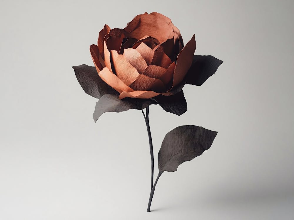 Rose Loss Death