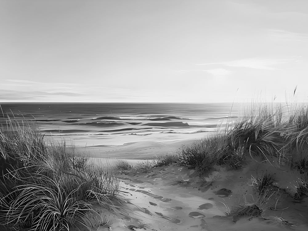 Sand Dunes 2