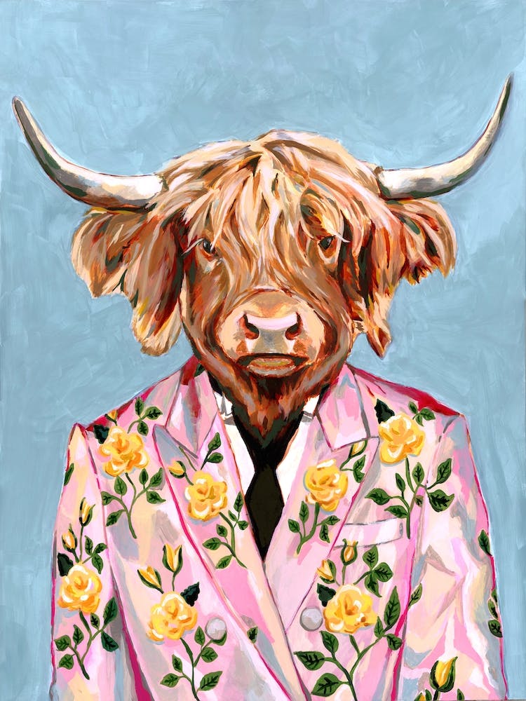 Highland Cow Animal