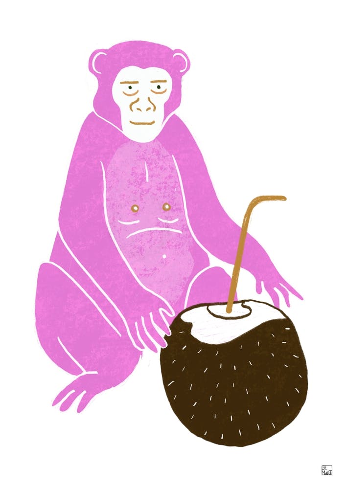 Pink Monkey With Coconut