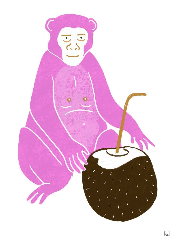Pink Monkey With Coconut