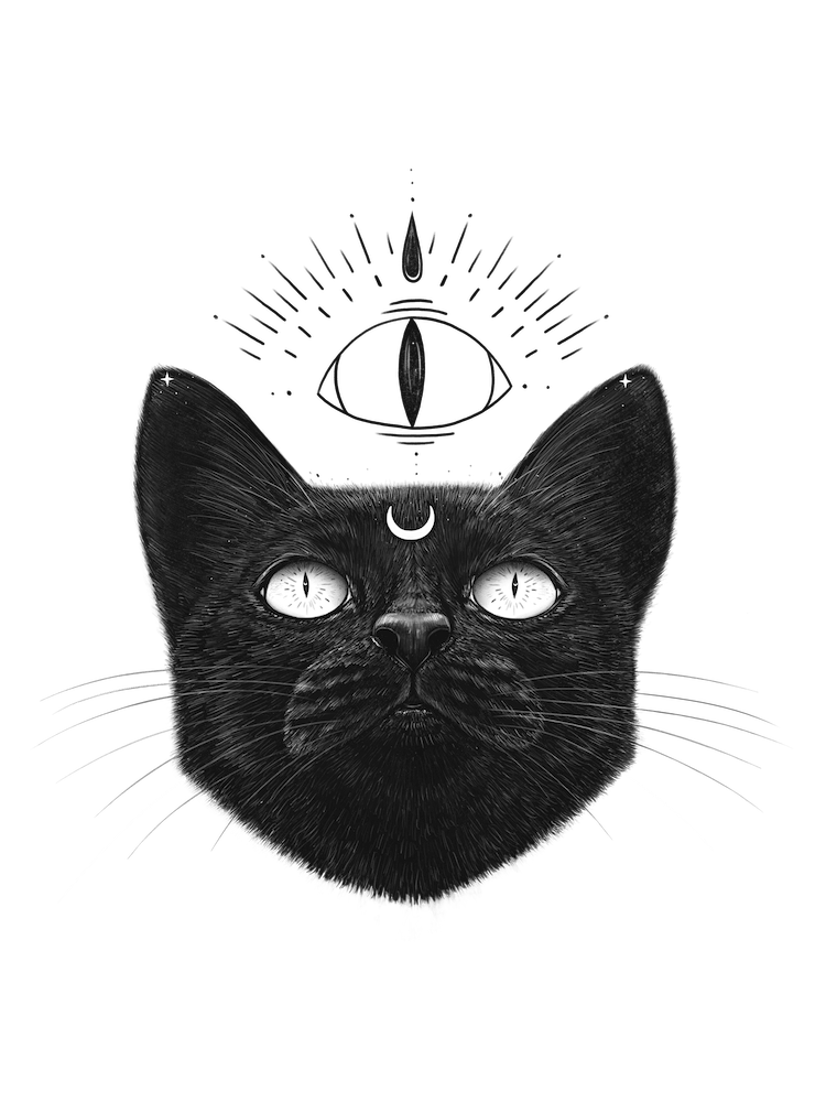Lucky Black Cat