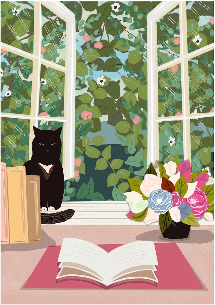 Black Cat And Cottage Window