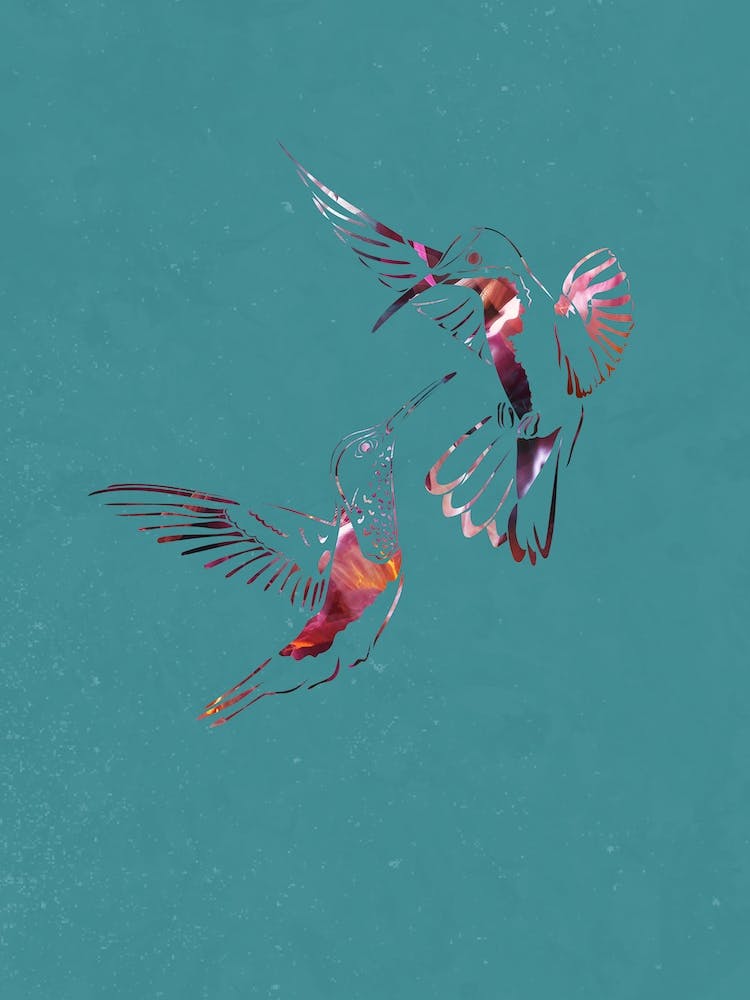 Rainbow Hummingbirds