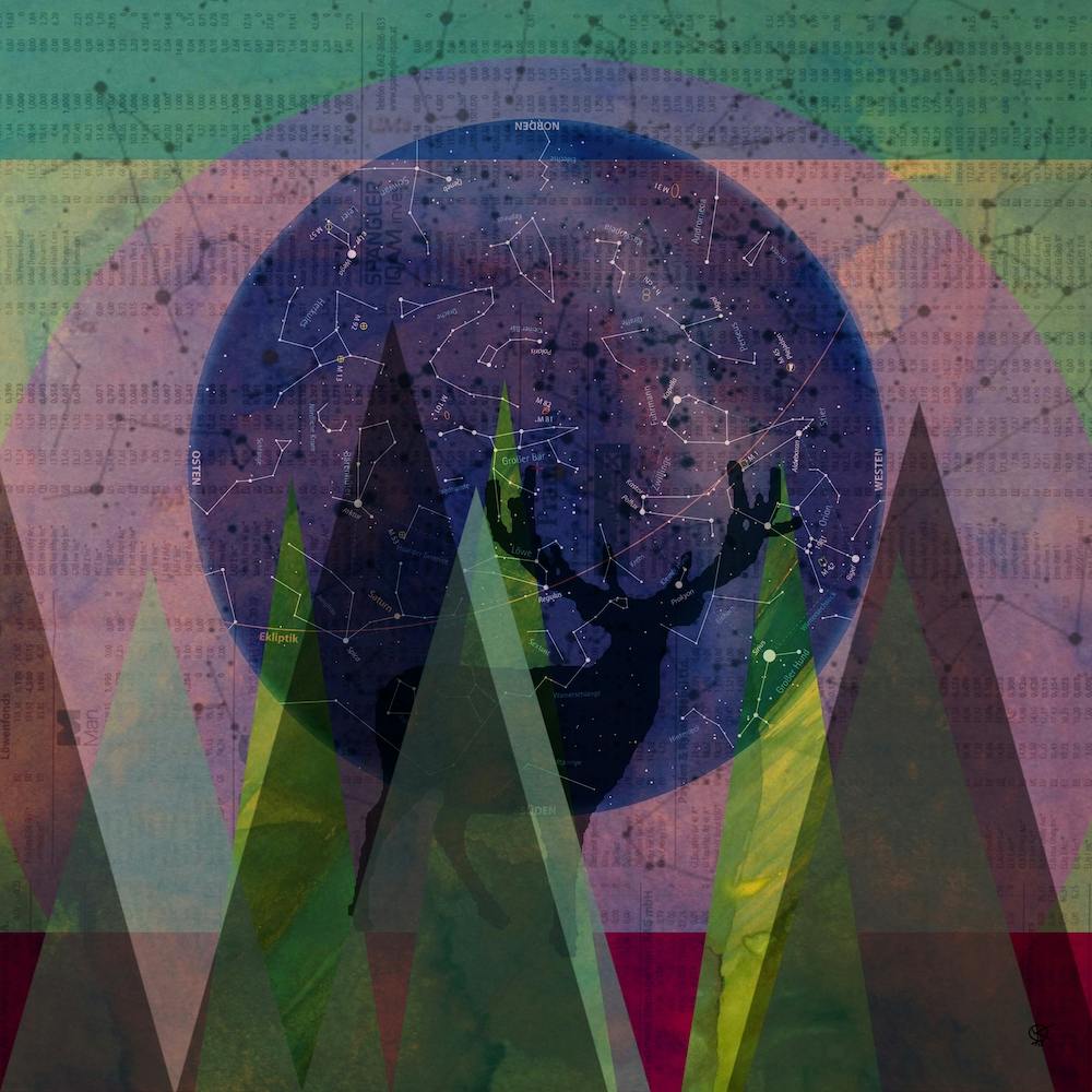 Deer Wood Wonderland