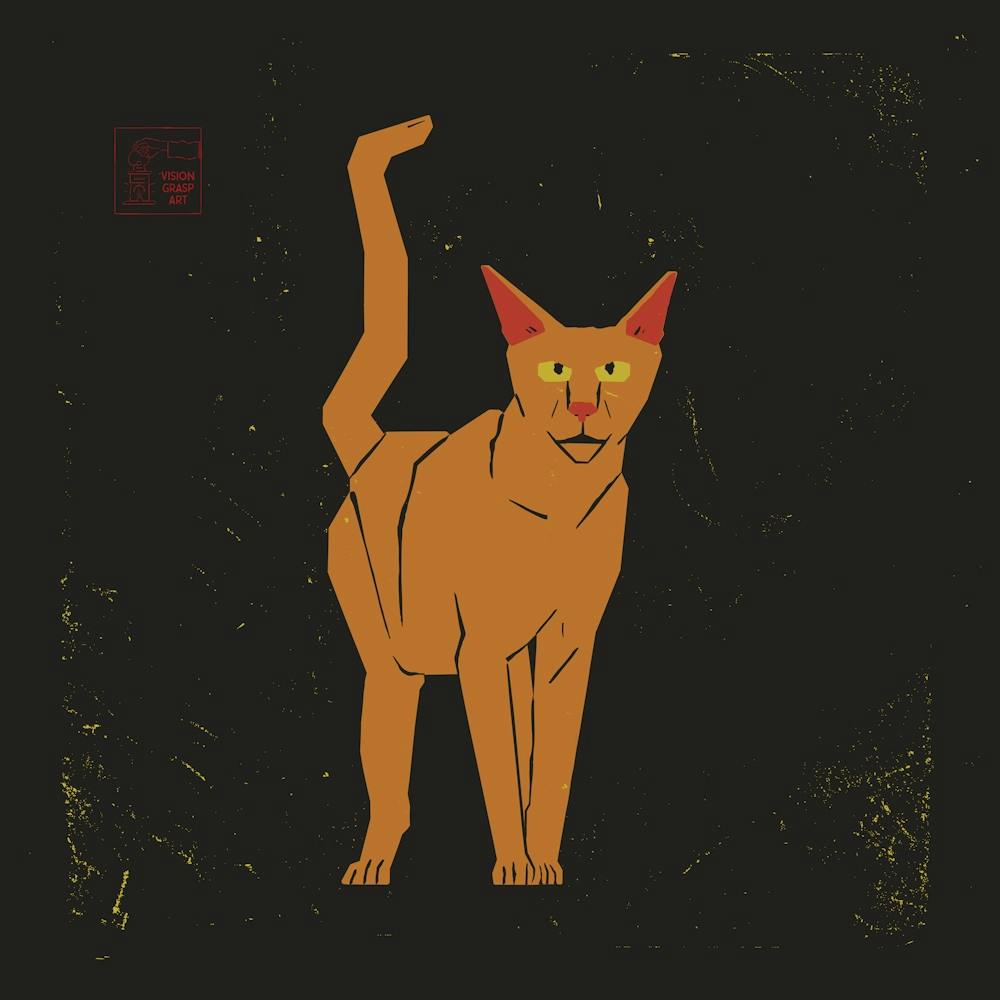 Chat Orange 1