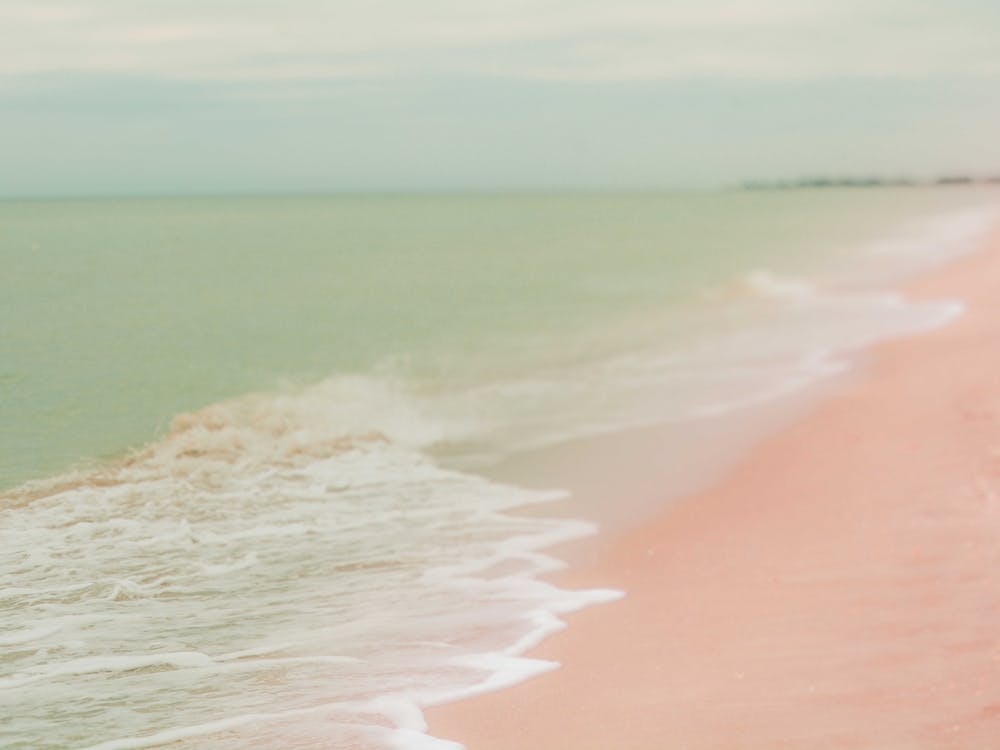 Dreams Of The Sea