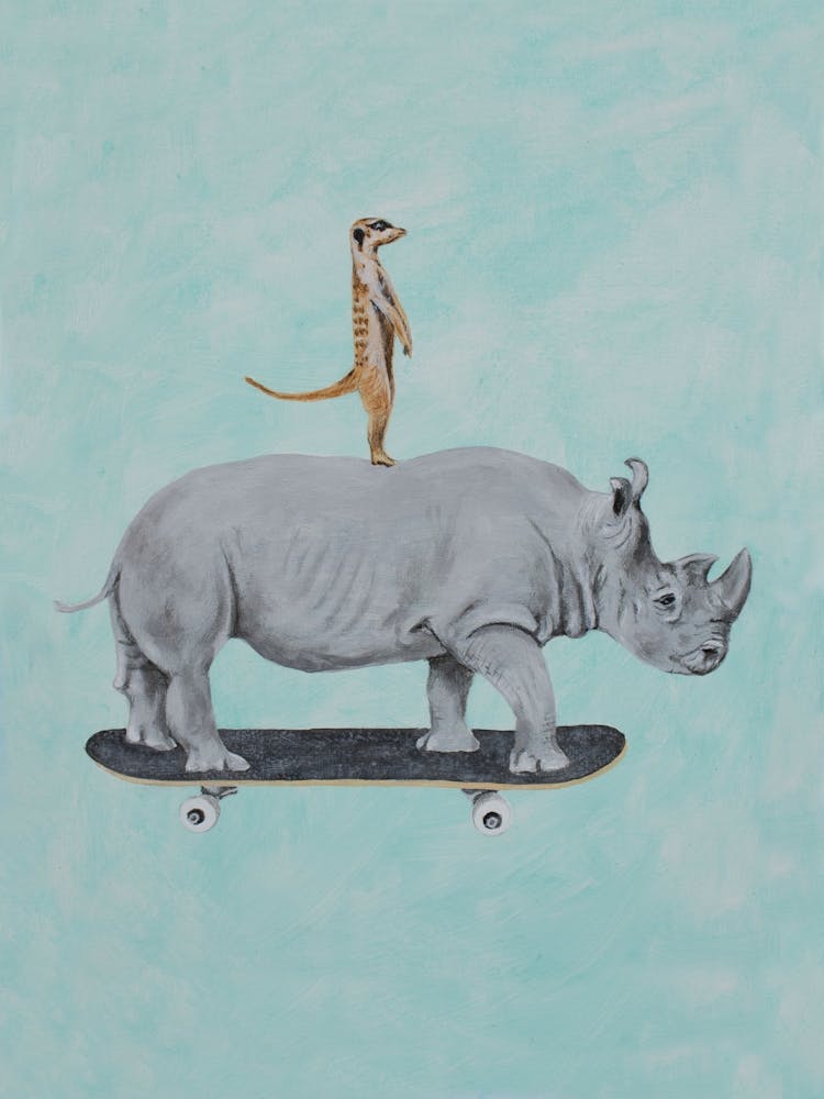 Rhinoceros And Meerkat Skateboarding
