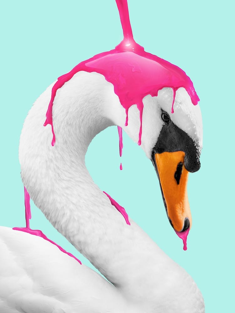 Making A Flamingo