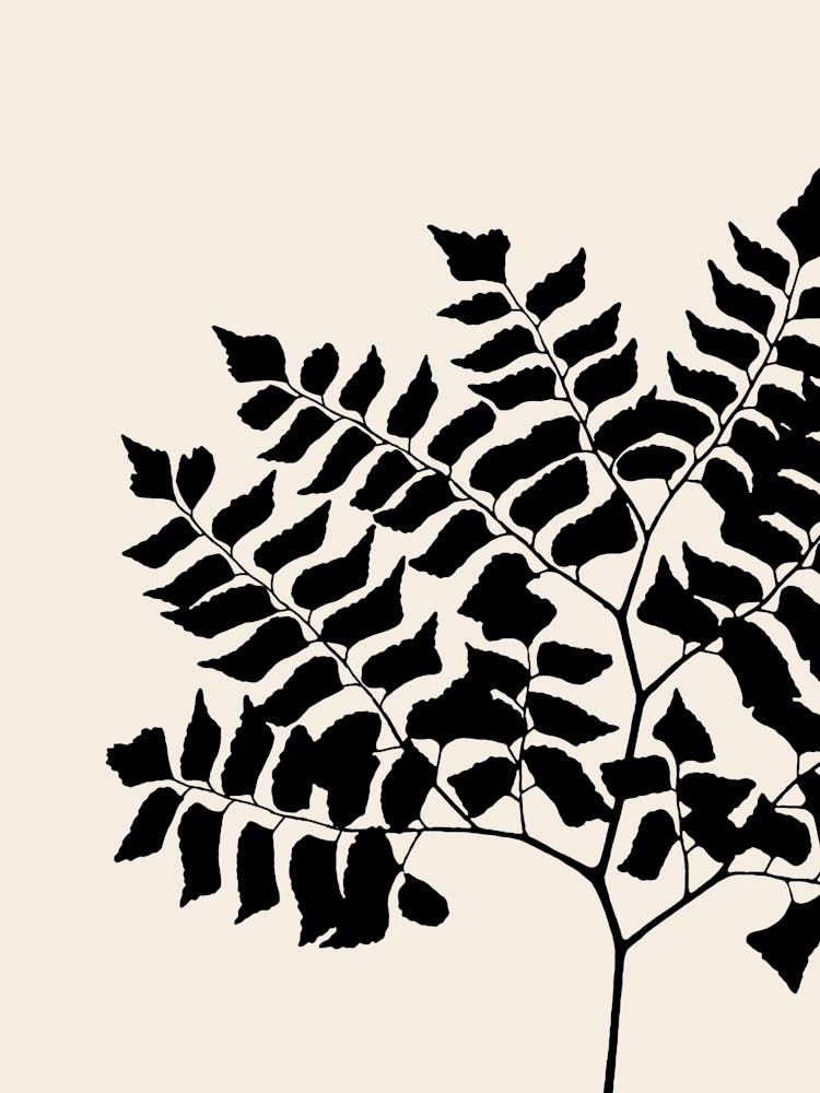 Fern Leaves in Black, Farmhouse Botanical 6