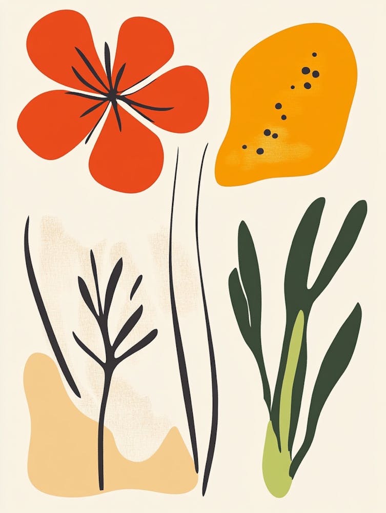 Blumen und Pflanzen