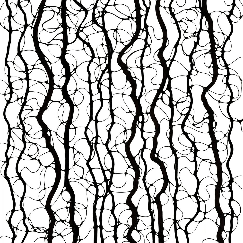 Black And White Abstract Wavy Lines Pattern / Hand Drawn / Black&White