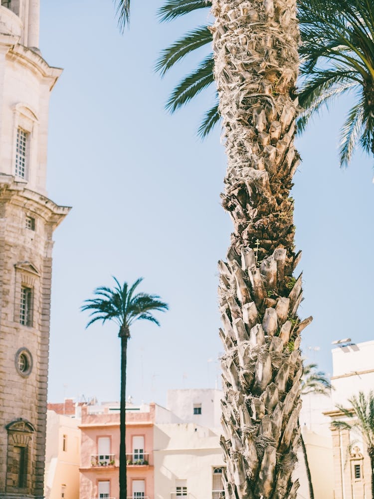 Pastels and Palmtrees in Spain