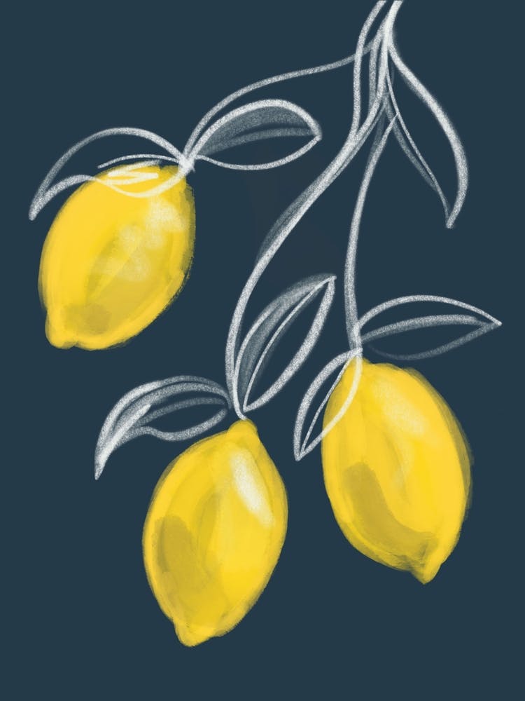 Lemons Kitchen Set Navy And Yellow