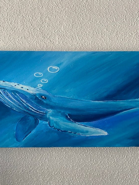 Humpback Whale