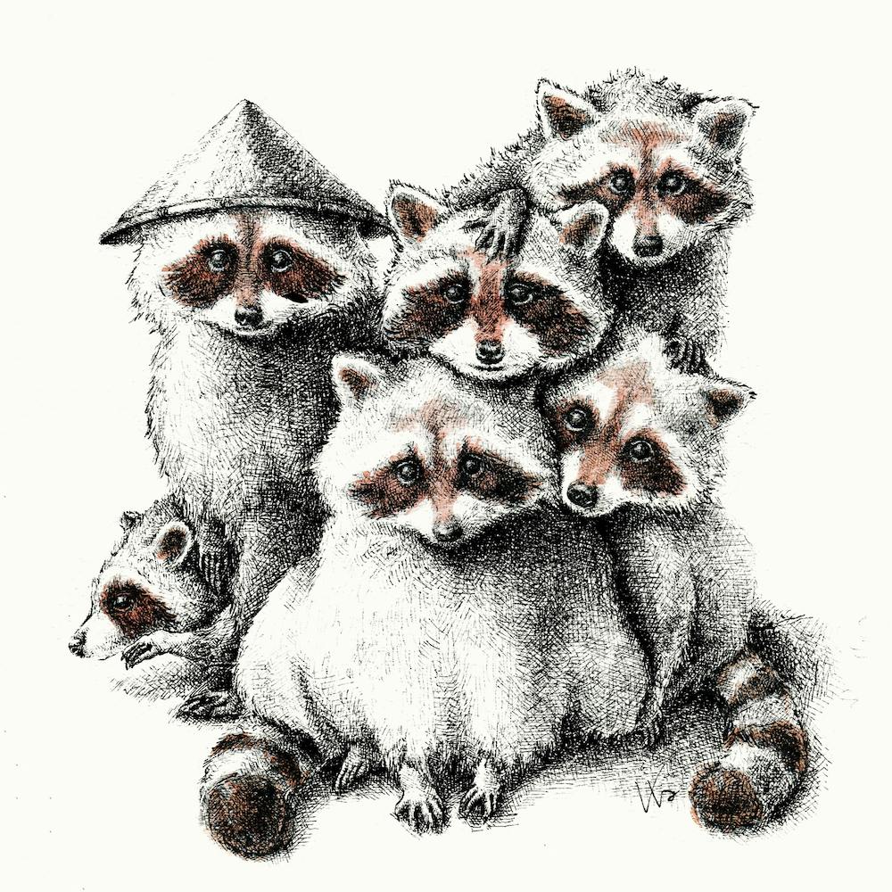 Tanuki X 6 Square