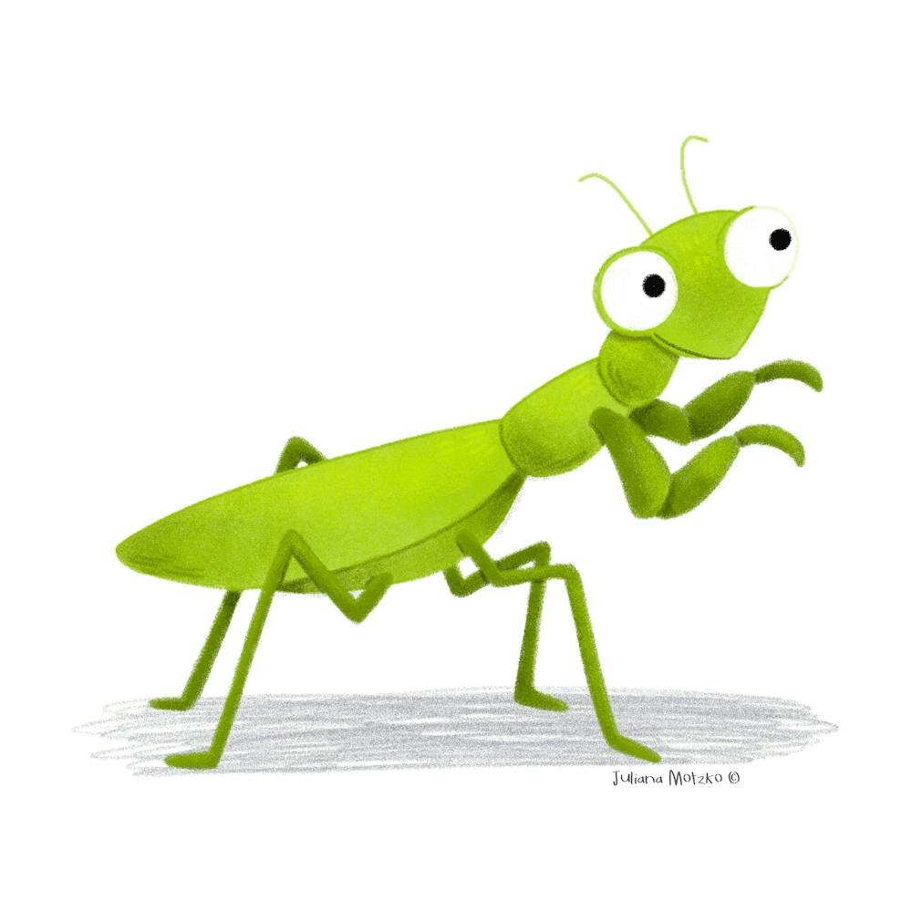 Cute Mantis Bug
